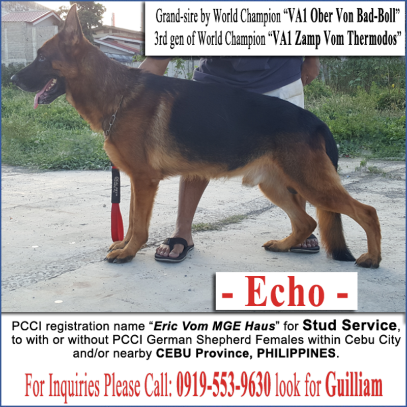 von german shepherd breeders