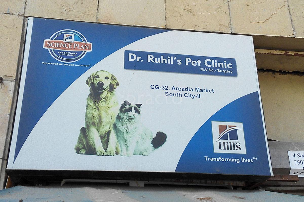 manesar pet clinic