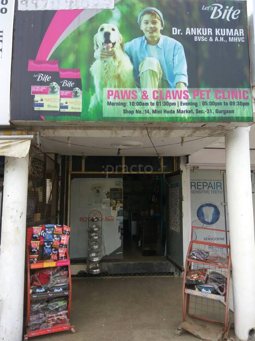 manesar pet clinic