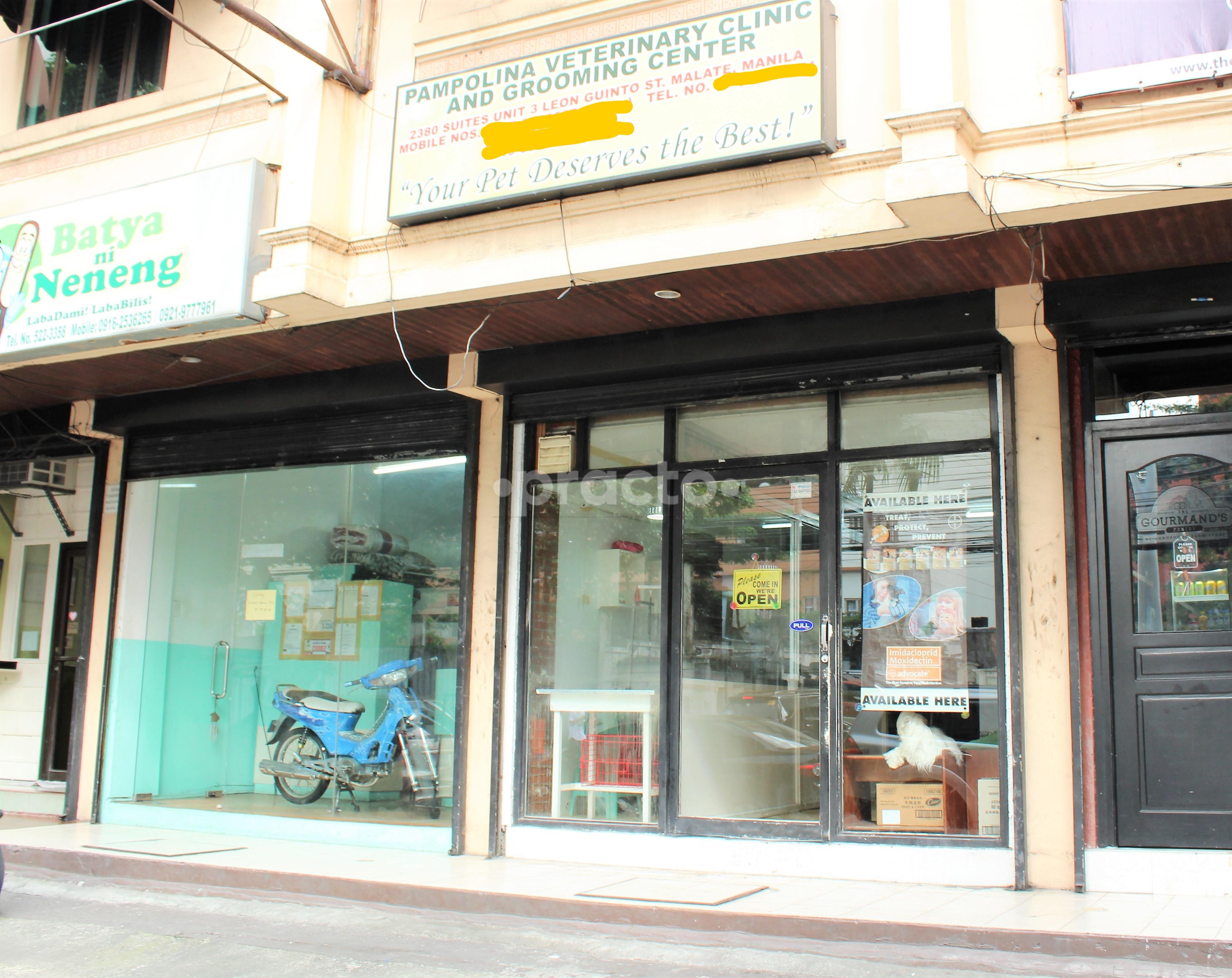 do vizslas get along with cats