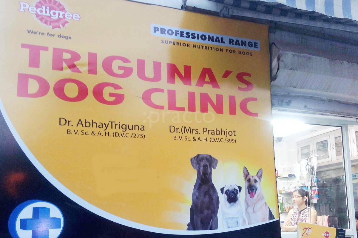 ram vihar dog clinic