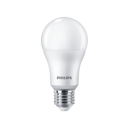 cate-LED Bulbs