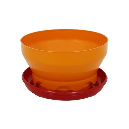 cate-สัตว์ปีก