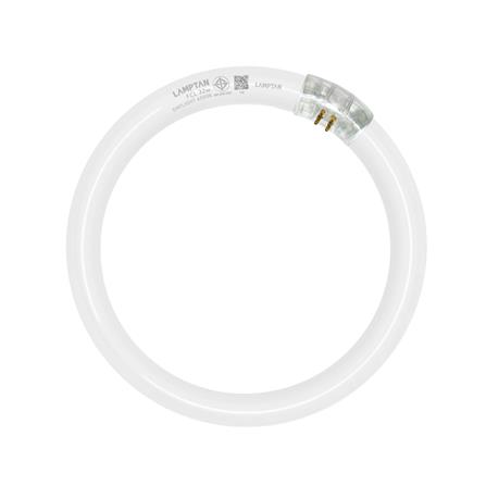 หลอดนีออน