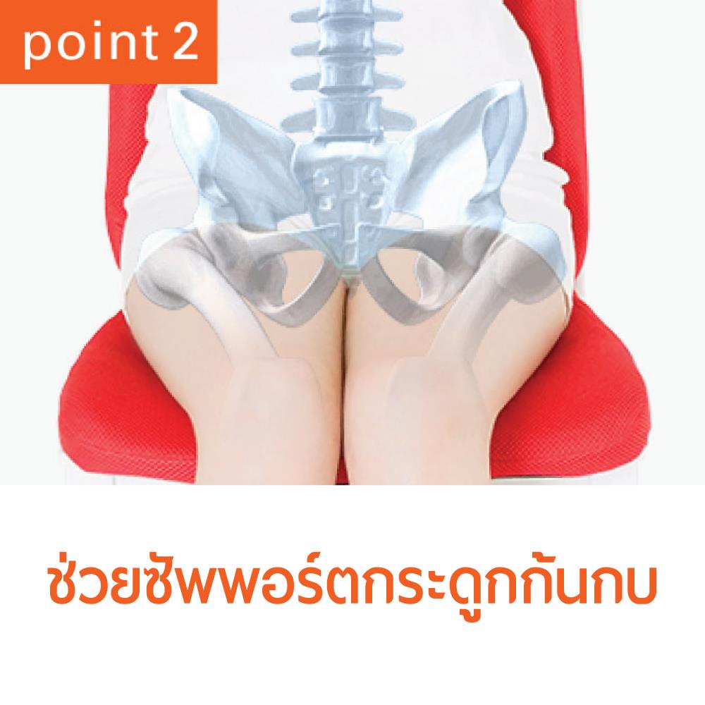 เบาะรองนั่ง MATSUNAGA PINTO SD RE_2