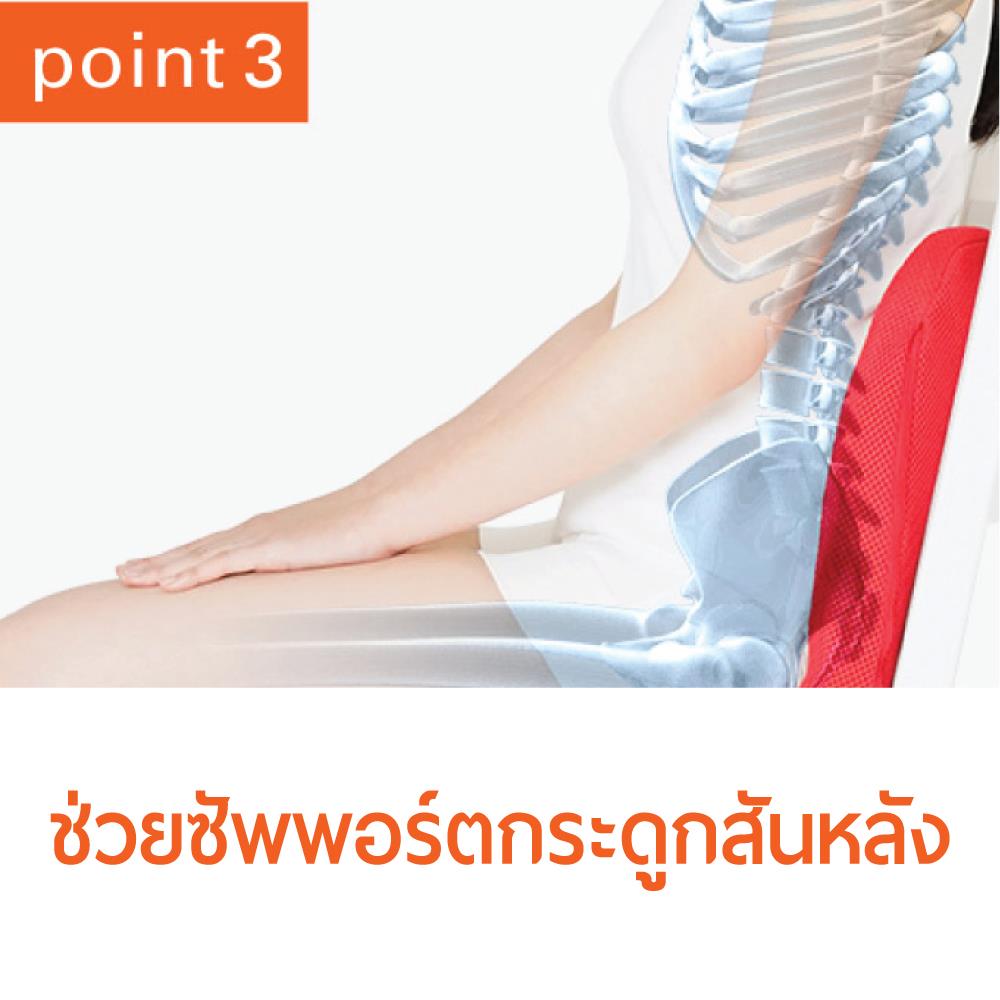 เบาะรองนั่ง MATSUNAGA PINTO SD RE_3