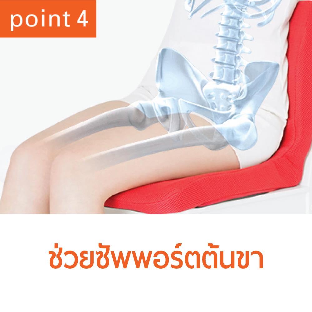 เบาะรองนั่ง MATSUNAGA PINTO SD RE_4