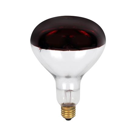 หลอดไส้