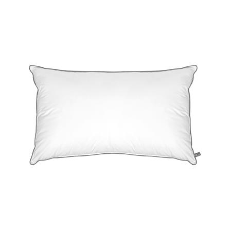 cate-Bed Pillows