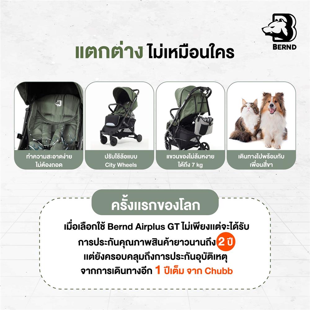 รถเข็นเด็ก BERND AIRPLUS GT-BALOO GRAY_6
