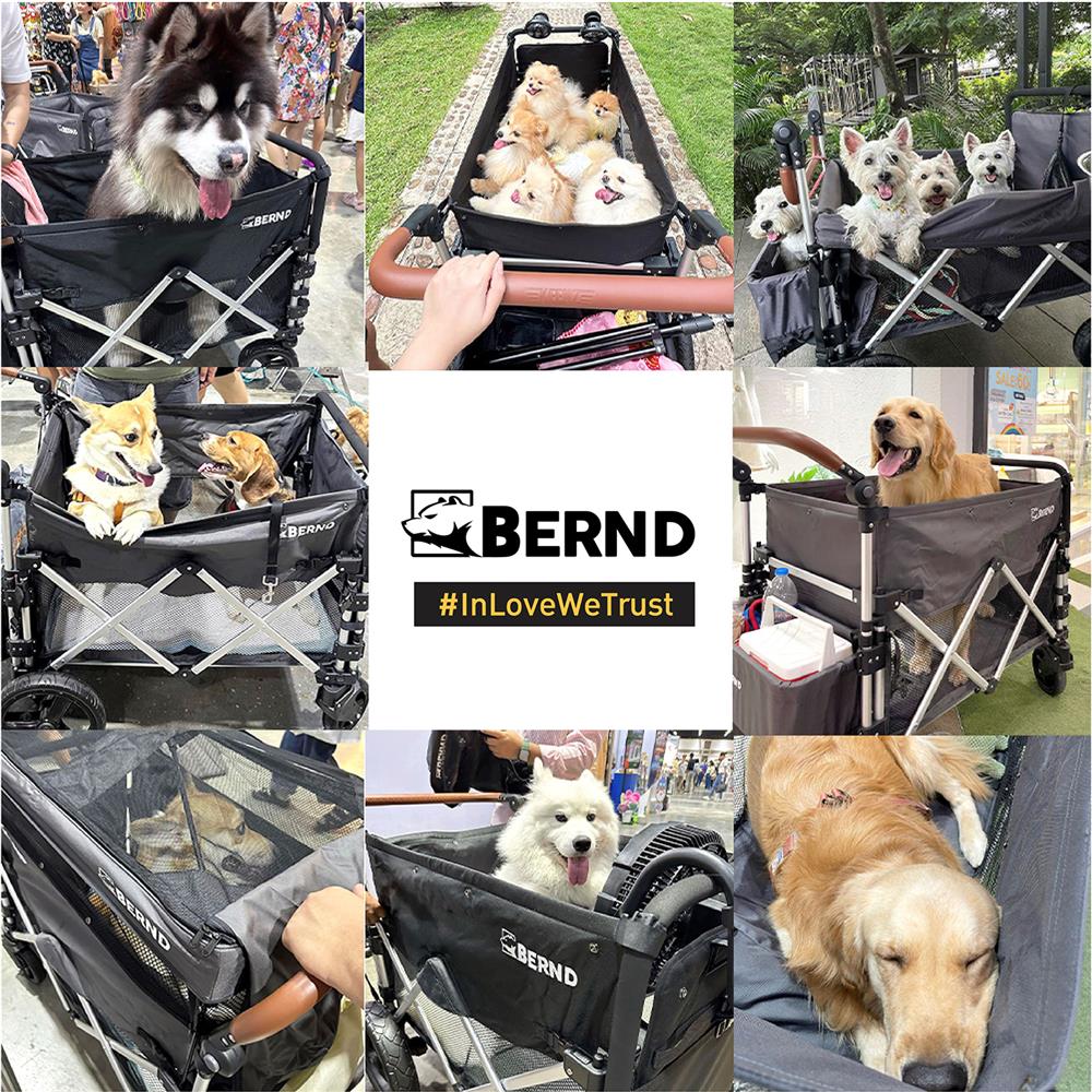 รถเข็นสัตว์เลี้ยง BERND BLOOM PET สีเทา_8