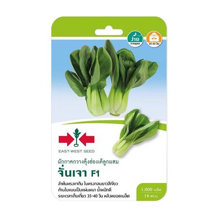 วัสดุเพาะปลูกและเมล็ดพันธุ์