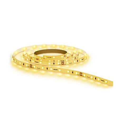 ไฟเส้นและไฟกระพริบ