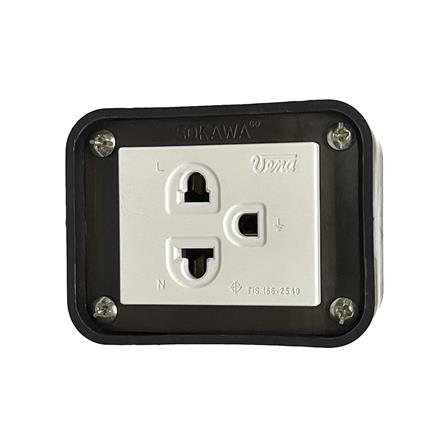 cate-ปลั๊กตัวเมีย