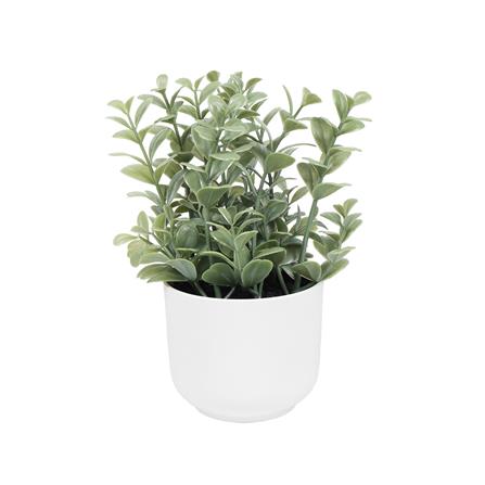 cate-อุปกรณ์ตกแต่งสวน