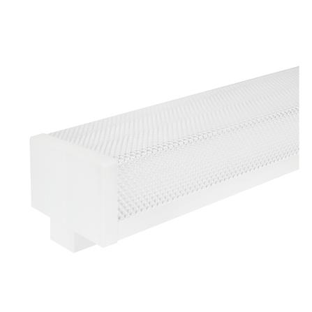 cate-รางนีออน