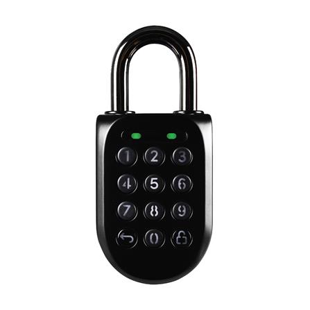 cate-Smart Padlock