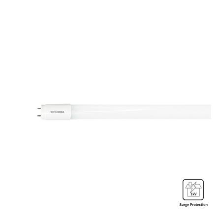 cate-หลอดสั้น