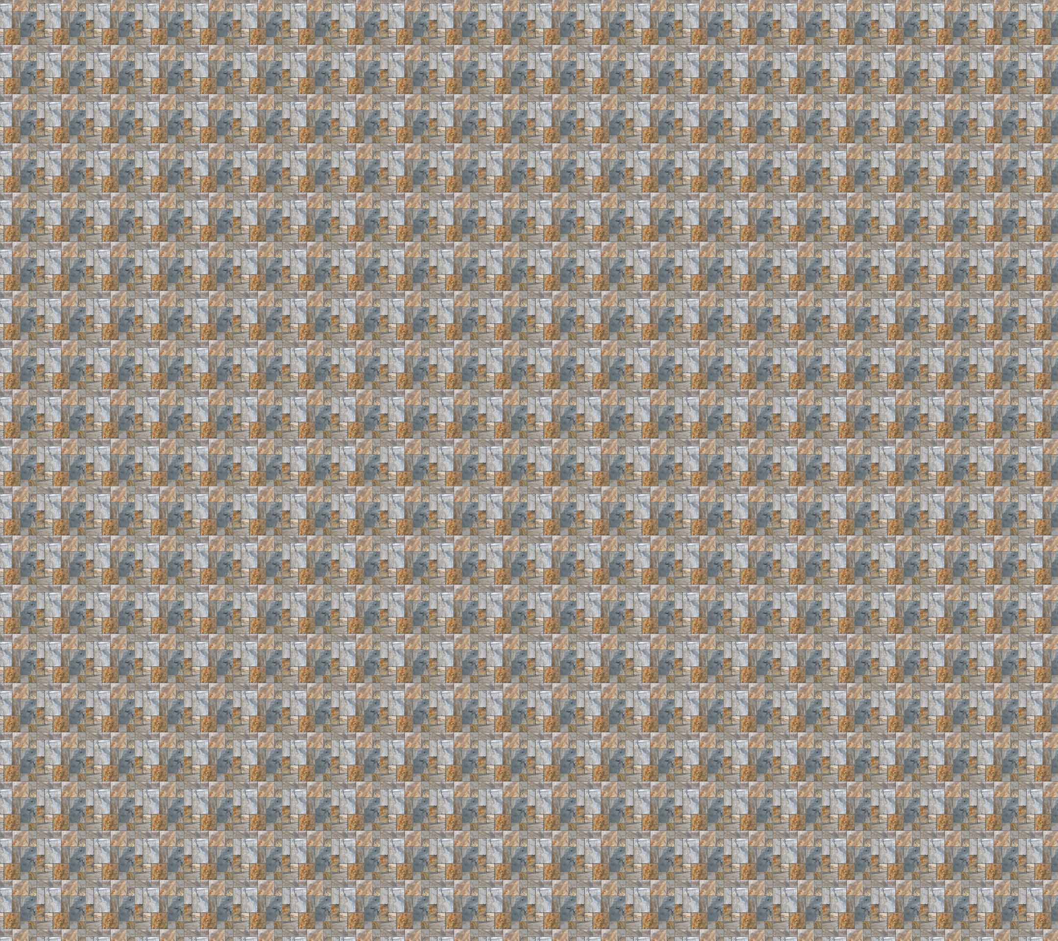 wall