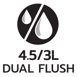 feature icon