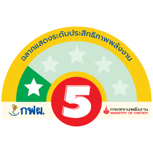 ประหยัดไฟเบอร์ 5 1 ดาว