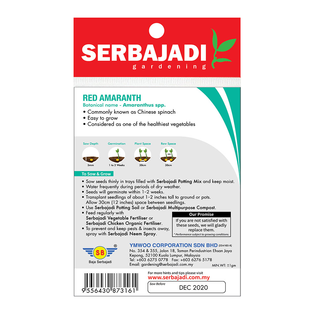 BAJA SERBAJADI RED AMARANTH VEGETABLE SEED BBS027 1GM