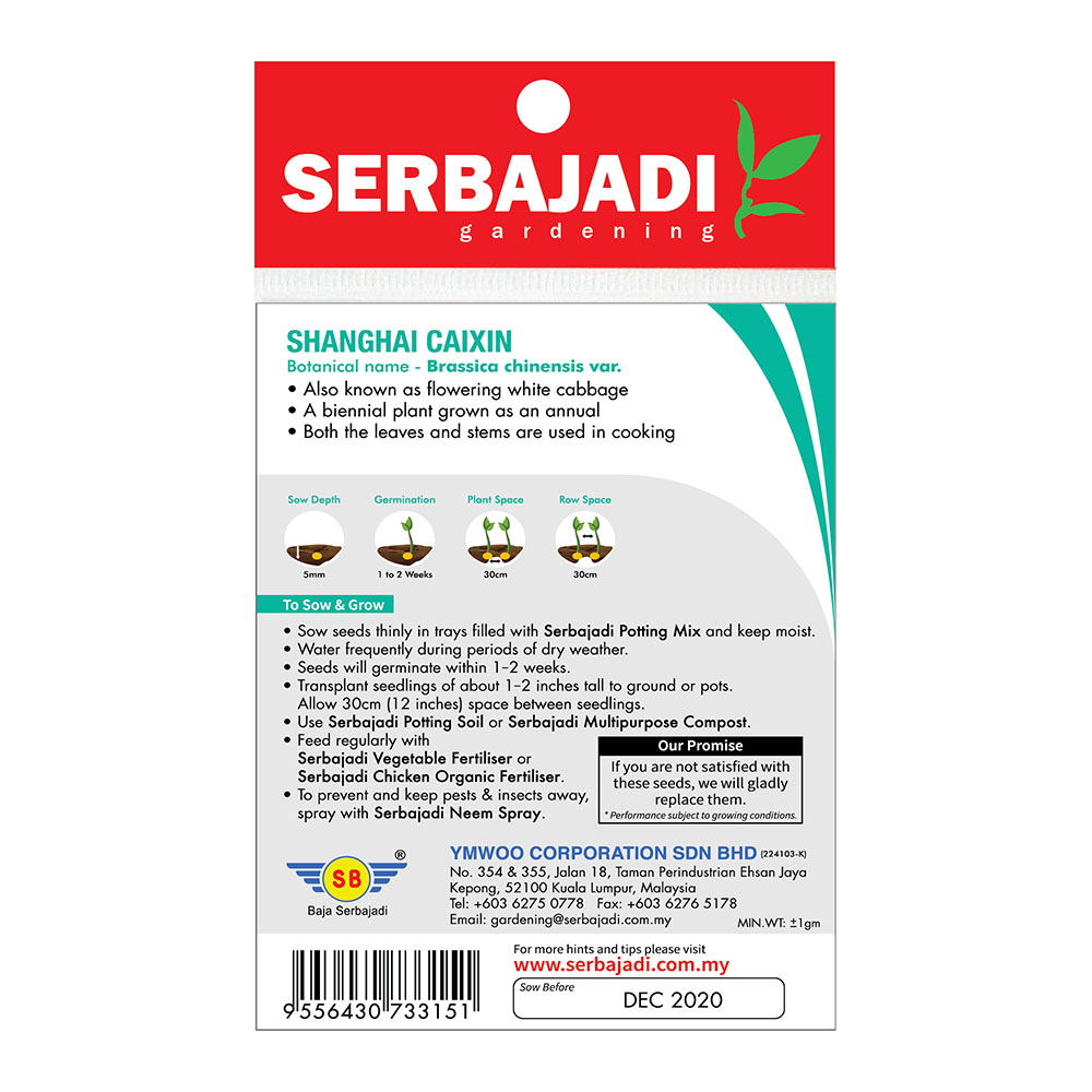 BAJA SERBAJADI SHANGHAI CAIXIN VEGETABLE SEED BBS053 1GM