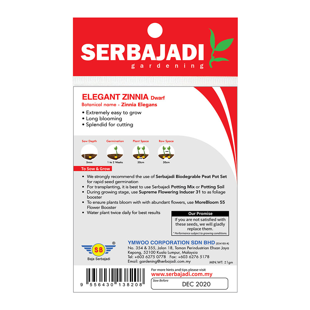 BAJA SERBAJADI DWARF ZINNIA ELEGANS FLOWER SEED FS020 1GM