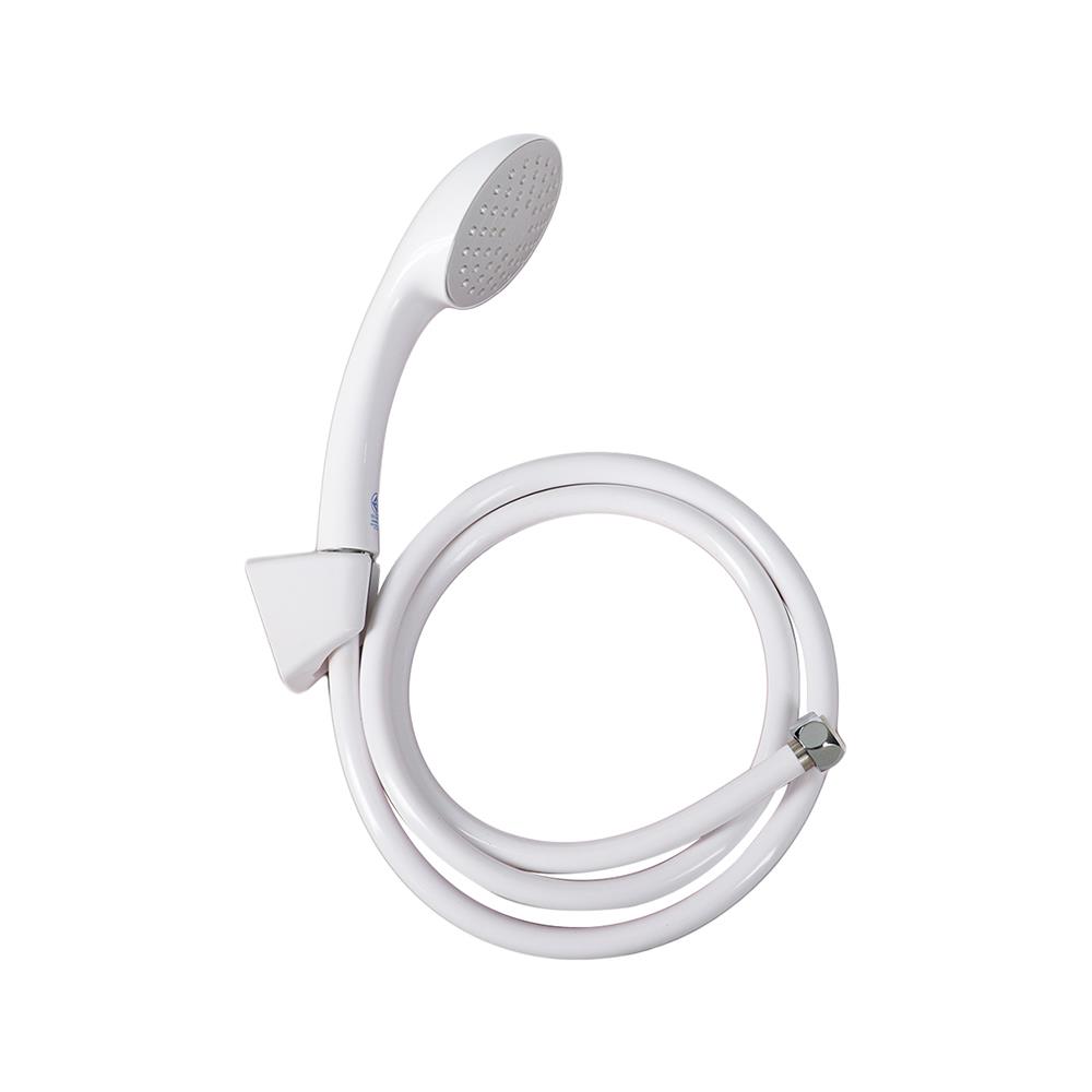 HAND SHOWER BN WS0555