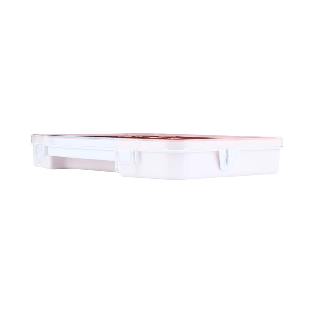 TOOL STORAGE BOX DEXZON A-010 10-COMPARTMENT