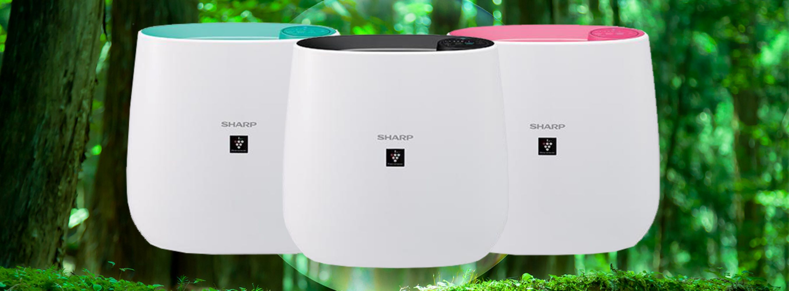 SHARP AIR PURIFIER 23SQM FPJ30LA/LB/LP