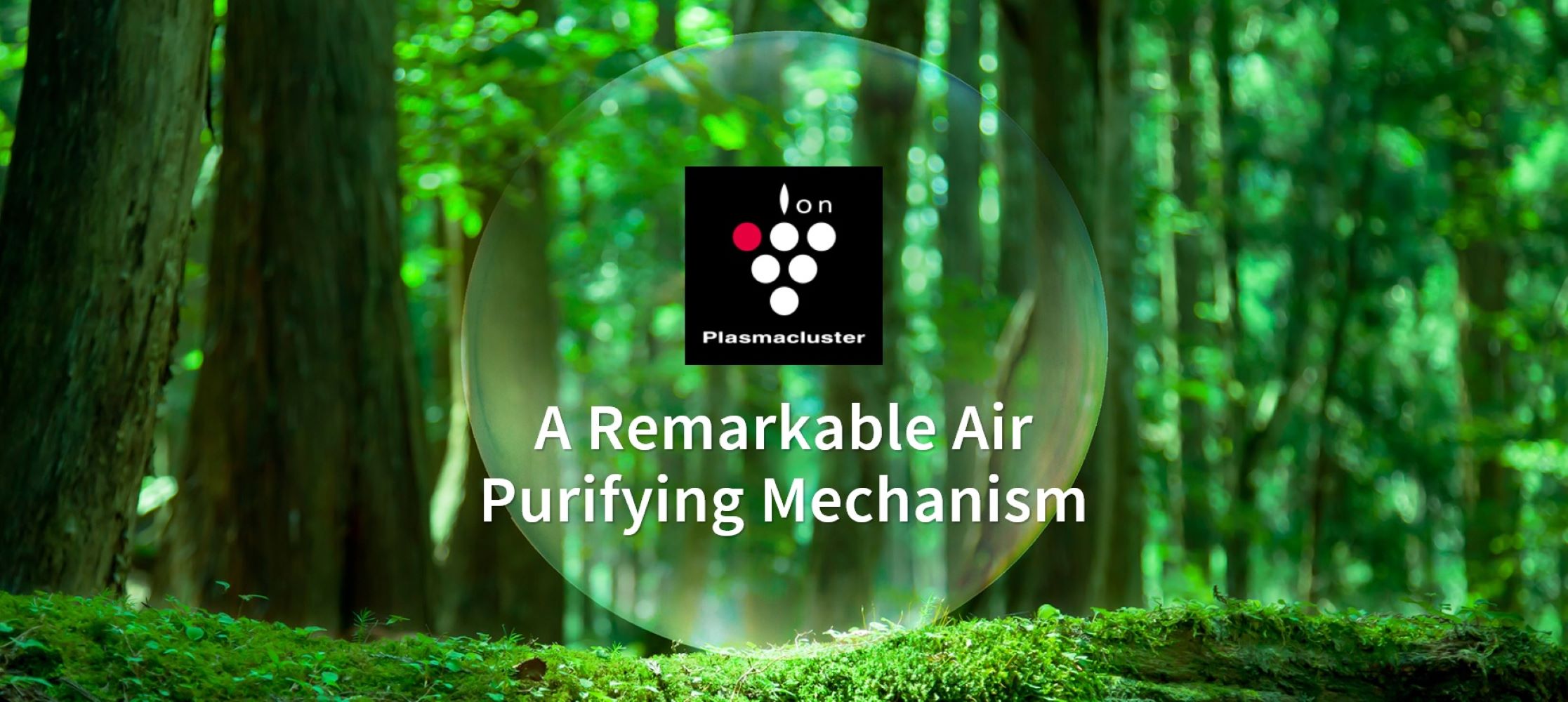SHARP AIR PURIFIER 23SQM FPJ30LA/LB/LP