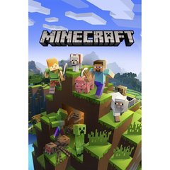 Minecraft Starter Collection