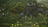 Bramble_the_mountain_king_1677041586