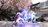 Street_fighter_6_1679384443