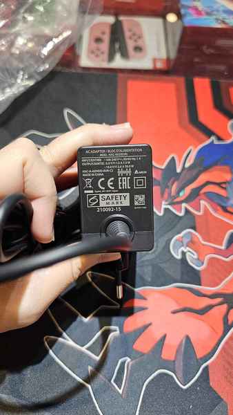 Nintendo_switch_ac_adapter_1723889249