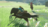 Screenshot_2025-06-11_164802