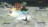 Stream20250912-1848-vjhlju