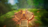 Stream20251007-20931-cfq1th
