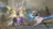 Stream20260604-16067-r50f6w