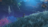 Stream20260817-31131-110huoy