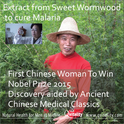 First Chinese Woman To Win Nobel Medicine Prize 2015. Sweet Wormwood Extract for Malaria. Image 2A. Image size:400x400px First Chinese Woman To Win Nobel Medicine Prize 2015. Sweet Wormwood Extract for Malaria. Image 2A.Image size:400x400px