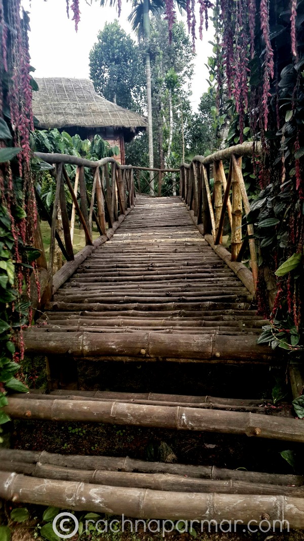 wayanad8