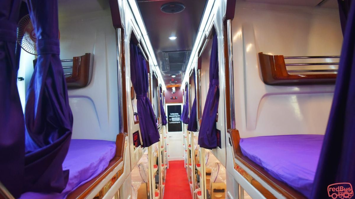 Trans Wing Bus Purple Wings Coaches Bus