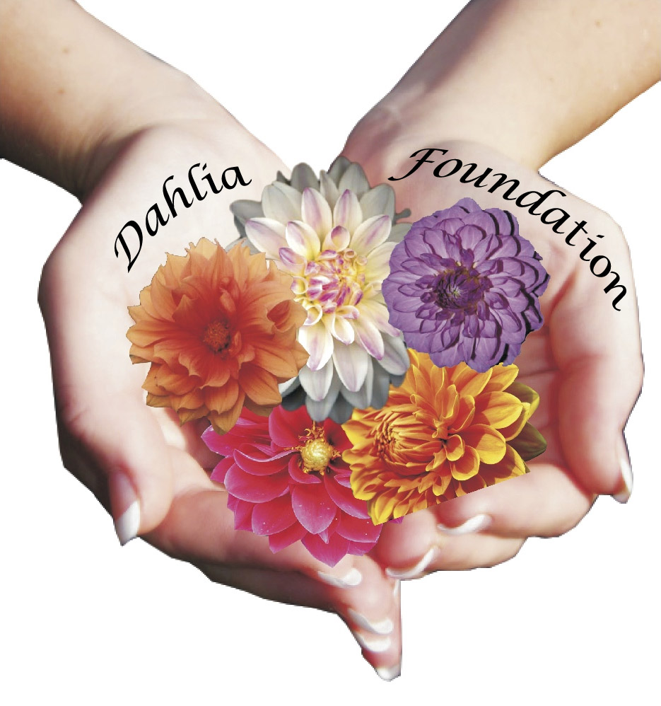 Dahlia Foundation Rehabilitation Centre