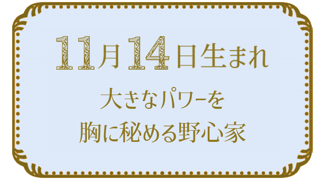 11月14日生まれの人の特徴｜真木あかりの365日の誕生日占いで性格・運勢、相性の良い誕生日を鑑定