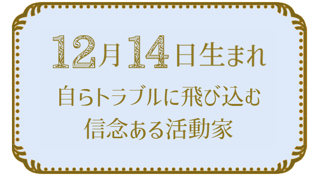 12月14日生まれの人の特徴｜真木あかりの365日の誕生日占いで性格・運勢、相性の良い誕生日を鑑定