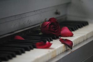 復縁に冷却期間って必要？復縁の可能性を高めたいなら〇ヶ月は連絡したらダメ！！