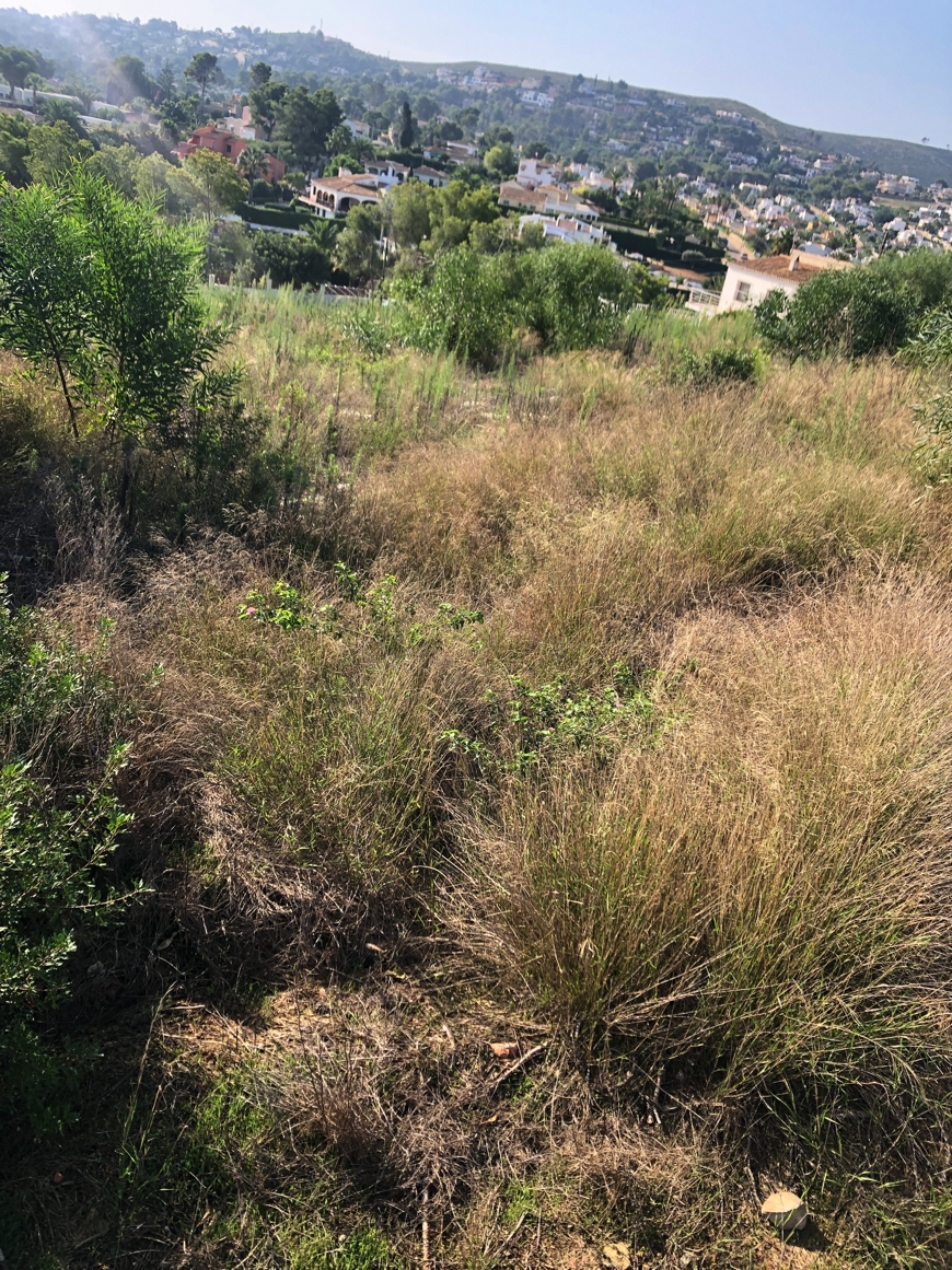 Venta. Parcela en Javea