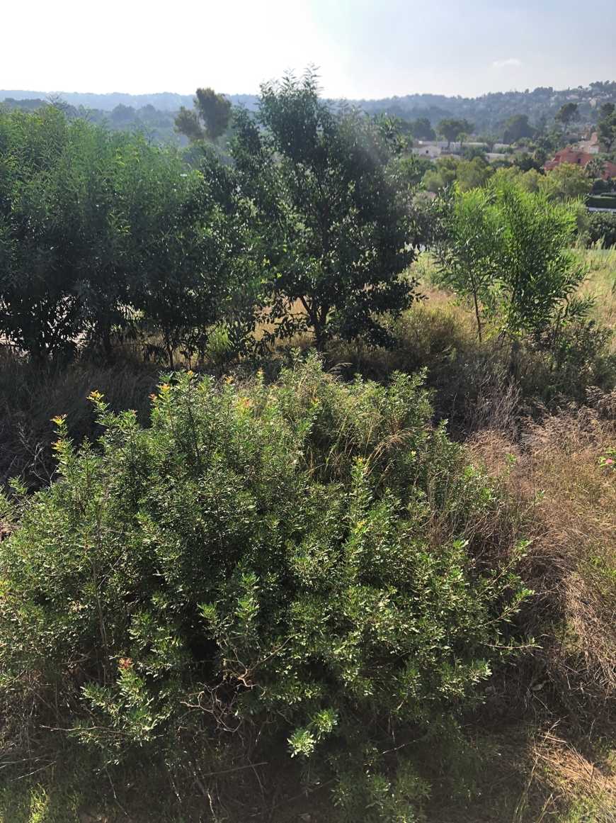 Venta. Parcela en Javea